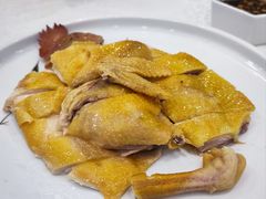 白切鸡-寻味顺德·南记酒家·传统顺德菜·鱼生(广源路店)
