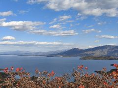 -开元食府(长兴路店)