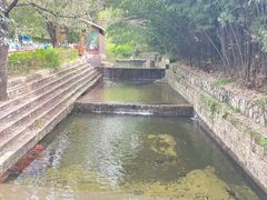 -鲁山国家森林公园