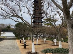 -上海方塔园