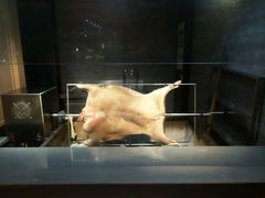 -蓝鲸湾汤泉(包河店)