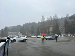 -武陵山森林公园