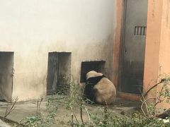 -宫廷糕点铺