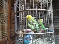 -鱼桥巷·美学川菜