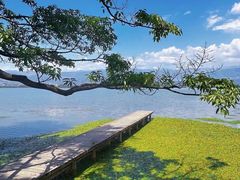 -西昌邛海湿地