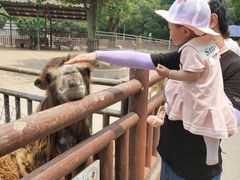 -无锡动物园·太湖欢乐园