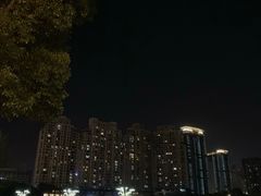 -西北湖绿化广场