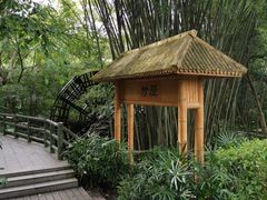 -大屏嶂森林公园
