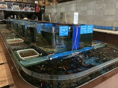 水产区-蓝港海鲜厨房(金水路店)