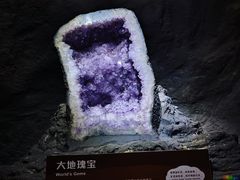 -正佳自然科学博物馆