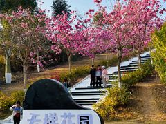 -盈香心动乐园