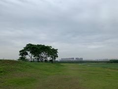 -盘龙城国家考古遗址公园