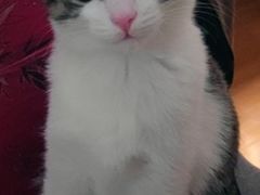 -爱侣宠医·鹦鹉专科·小型哺乳类·异宠专科(灵石路店)