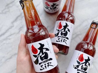 小众宝藏汽水：渣sir山楂气泡水