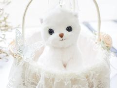 -七彩云南第壹城