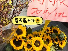 -金汇四季广场