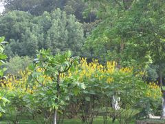 -广州市干部健康管理中心