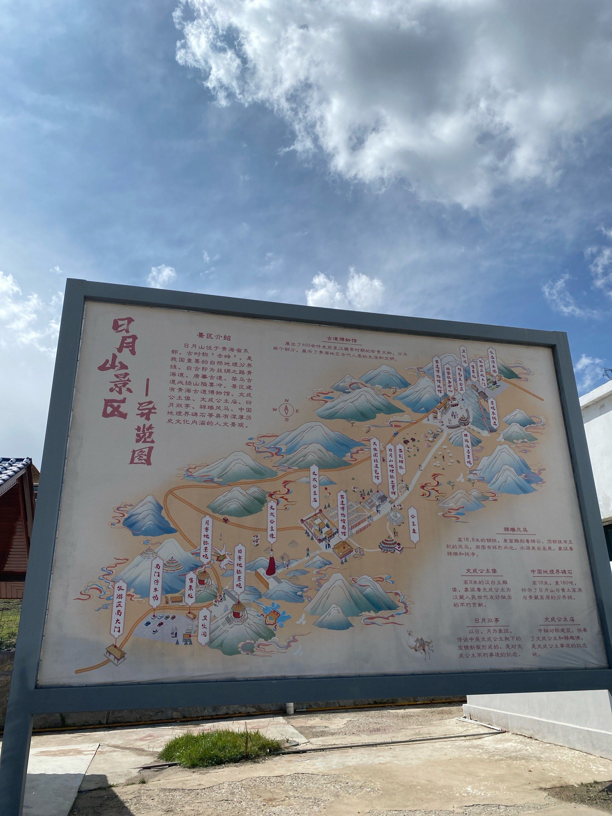 小路羊群慢生活