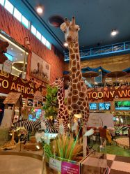 -卡通尼·Safari非洲探索乐园·生日会(金桥国际商业广场店)