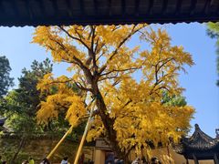-无锡惠山寺