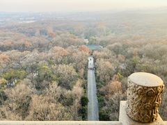 -灵谷景区