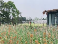 -洪湖家庭农场·团建·露营·会议