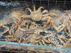-宏运厨房·海鲜青岛菜·生日宴(城市阳台店)