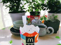 -麦当劳(磨子桥店)