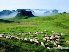 -贵州云顶草原民族风情园