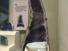 -天津自然博物馆