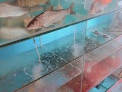 -洞天食府(北大街店)