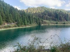 -武陵山森林公园