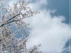 -上海辰山植物园
