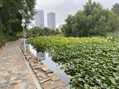 -大连海事大学-游泳馆