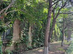 -辽宁大学(崇山校区)