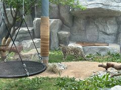 -青藏高原野生动物园