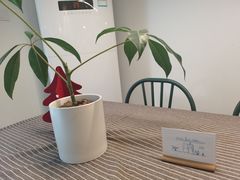 -白胡子咖啡(丽都园店)