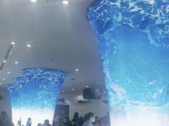 -深海中餐厅(国家海洋博物馆店)