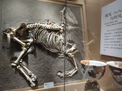 -烟台市博物馆