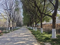 -幕燕滨江·长江观音景区