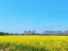 -西山漾湿地公园