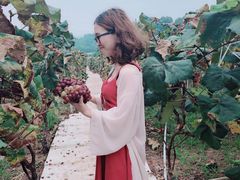 -枫香湖儿童公园