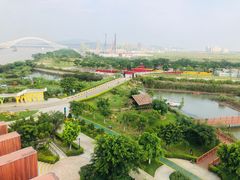 -芒洲湿地公园