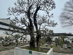 -拙政园