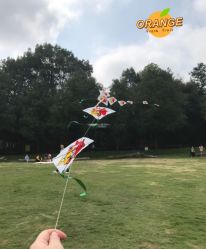 -长沙小顽国景区
