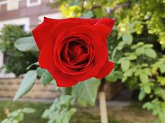 -Fun Job Art 零基础油画国画DIY画室(望京店)