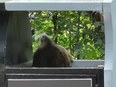 -攀枝花公园