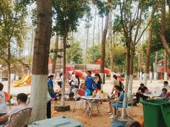 -合肥滨湖国家森林公园