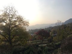 -塔川景区