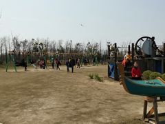 -上海长兴岛郊野公园